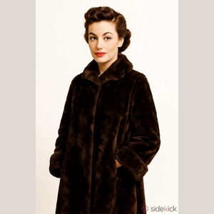 Jerome Wolk Jr. Furs Vintage Faux Fur Brown Heavy Coat